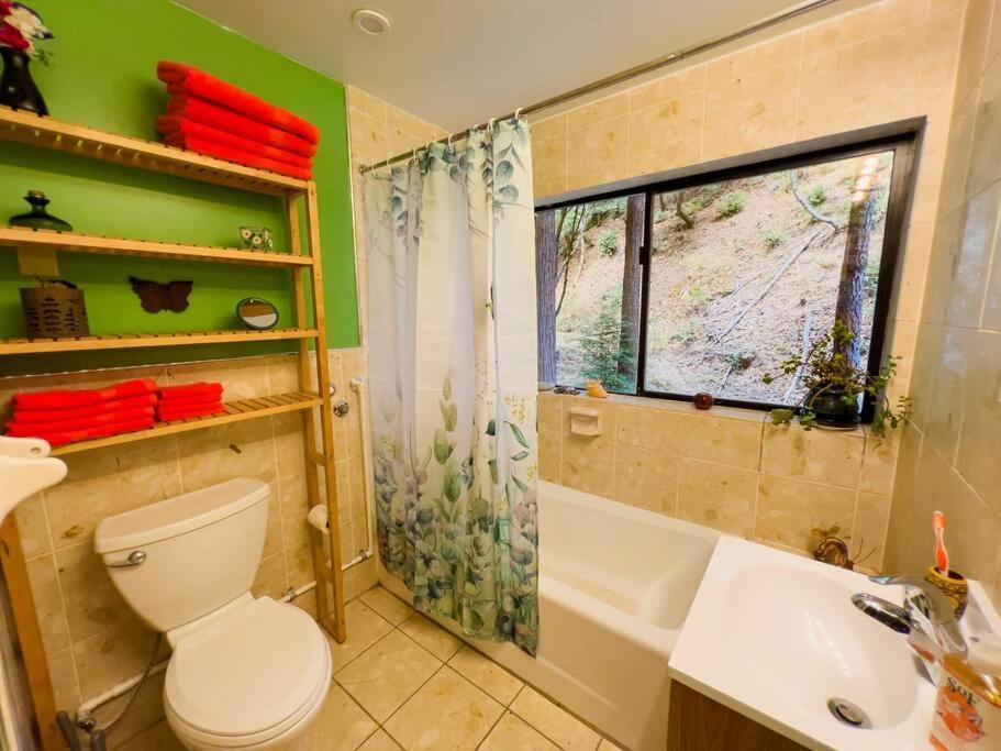 Little House In The Redwoods With A Hot Tub! Apartment Garberville Exterior photo